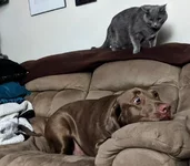 Смешные подписи к фотографиям №1.webp