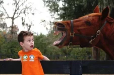 Смешные подписи к фотографиям №3.webp