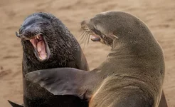 Смешные подписи к фотографиям №6..webp