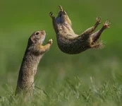 Смешные подписи к фотографиям №8.webp