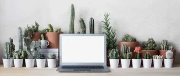 Кактус и компьютер.webp