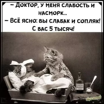 Смешные картинки которые вас точно развеселят.