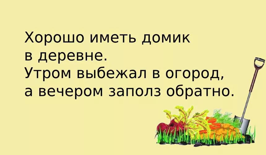 История о том, как на участке применили конский навоз в качестве удобрения